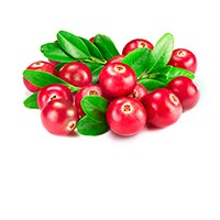Ruscus aculeatus root extract Ruscus aculeatus root extract