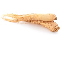 Panax ginseng root extract