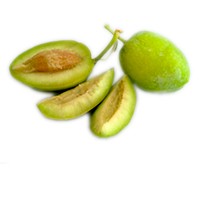 Terminalia ferdinandiana fruit extract Terminalia ferdinandiana fruit extract