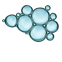 Phospholipids Phospholipids