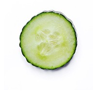 Cucumis sativus fruit extract Cucumis sativus fruit extract